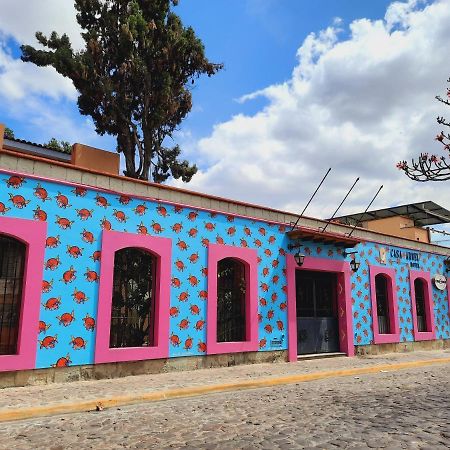 Hotel Casa Arnel Oaxaca Exterior photo